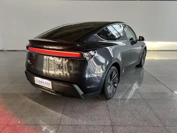 Model Y 2025 Model Rear-wheel drive version – фото 7