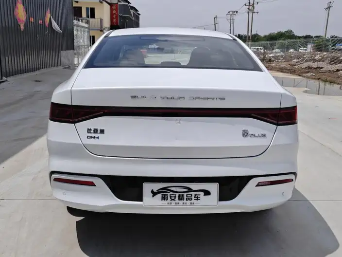 BYD Qin PLUS DM 2024 Model Honor Edition DM-i 55KM Leading Model – фото 5