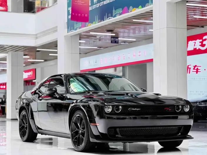 Challenger 2023 Model 3.6L Automatic 4WD 5 seat Parallel Imported – фото 3