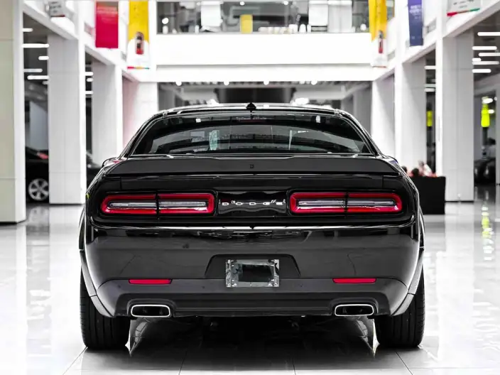 Challenger 2023 Model 3.6L Automatic 4WD 5 seat Parallel Imported – фото 5