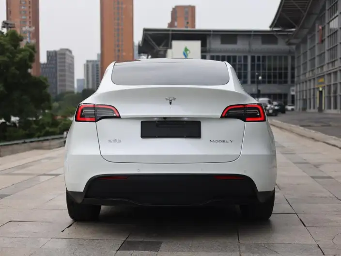 Model Y 2023 Model Long Battery Life Pro All-wheel drive version – фото 6