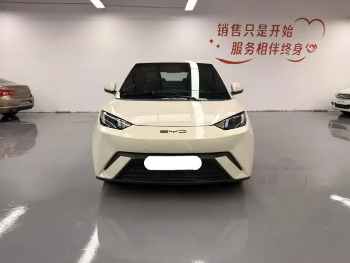 BYD Seagull 2023 Model Vitality Edition – фото 2