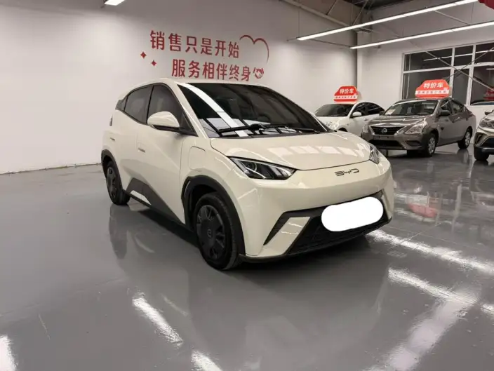 BYD Seagull 2023 Model Vitality Edition – фото 3