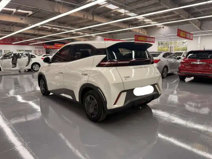 BYD Seagull 2023 Model Vitality Edition – фото 4