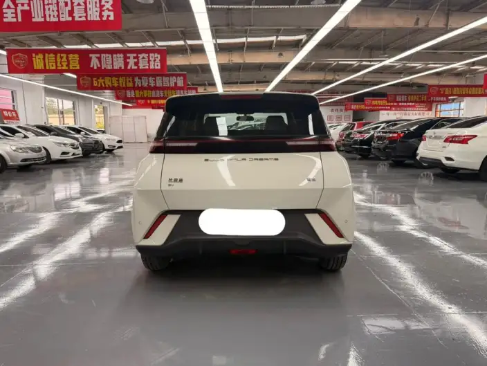 BYD Seagull 2023 Model Vitality Edition – фото 5