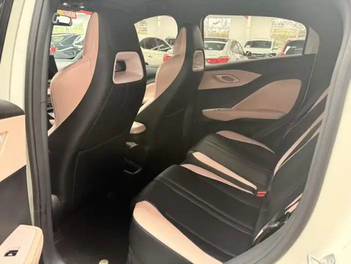 BYD Seagull 2023 Model Vitality Edition – фото 9