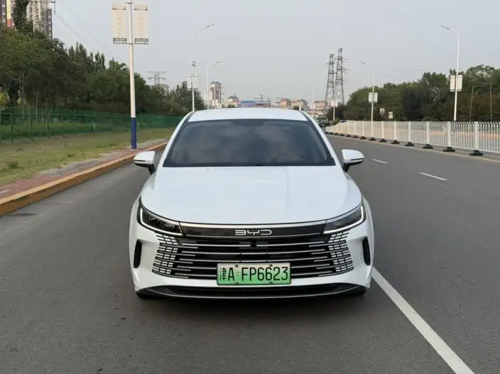 BYD Destroyer 05 2023 Model DM-i Champion Edition 55KM Luxury Model – фото 2