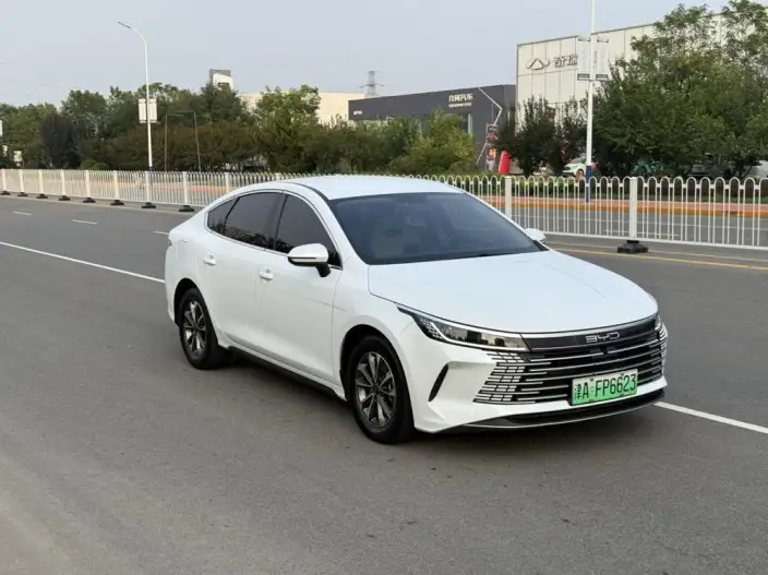 BYD Destroyer 05 2023 Model DM-i Champion Edition 55KM Luxury Model – фото 3