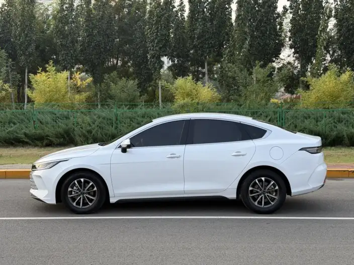 BYD Destroyer 05 2023 Model DM-i Champion Edition 55KM Luxury Model – фото 4