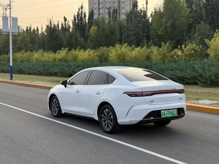 BYD Destroyer 05 2023 Model DM-i Champion Edition 55KM Luxury Model – фото 5