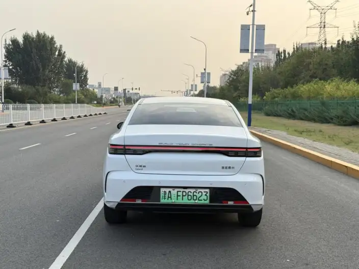 BYD Destroyer 05 2023 Model DM-i Champion Edition 55KM Luxury Model – фото 6