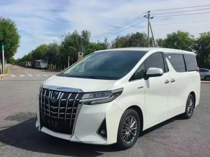 Elfa 2021 Model Hybrid 2.5L Premium Edition – фото 1