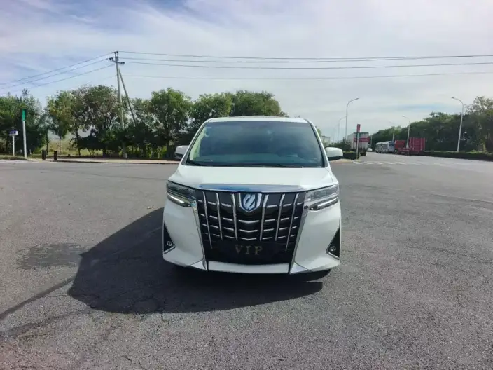 Elfa 2021 Model Hybrid 2.5L Premium Edition – фото 2