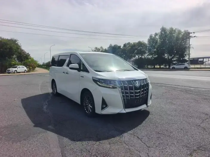 Elfa 2021 Model Hybrid 2.5L Premium Edition – фото 3