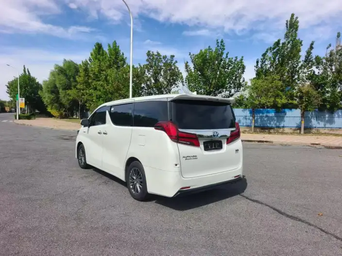 Elfa 2021 Model Hybrid 2.5L Premium Edition – фото 4