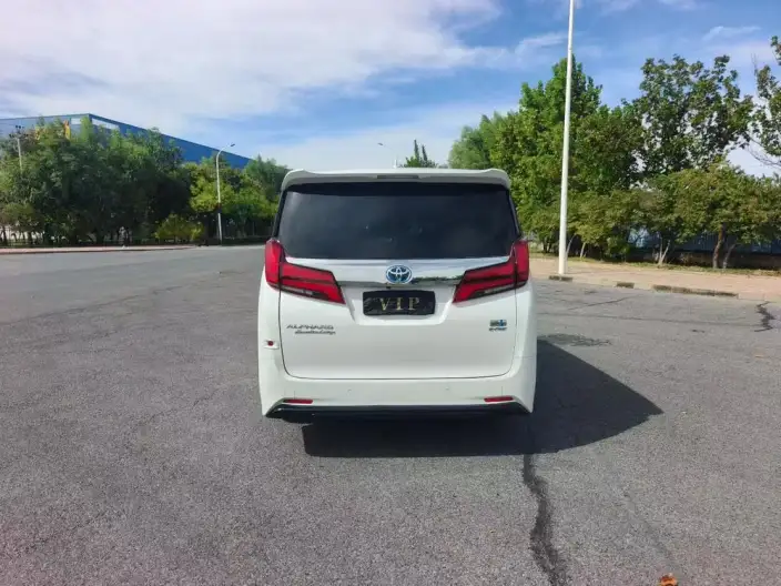 Elfa 2021 Model Hybrid 2.5L Premium Edition – фото 5