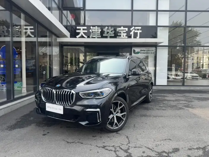 BMW X5 2022 Model Facelift xDrive 40Li M Sports Set – фото 10