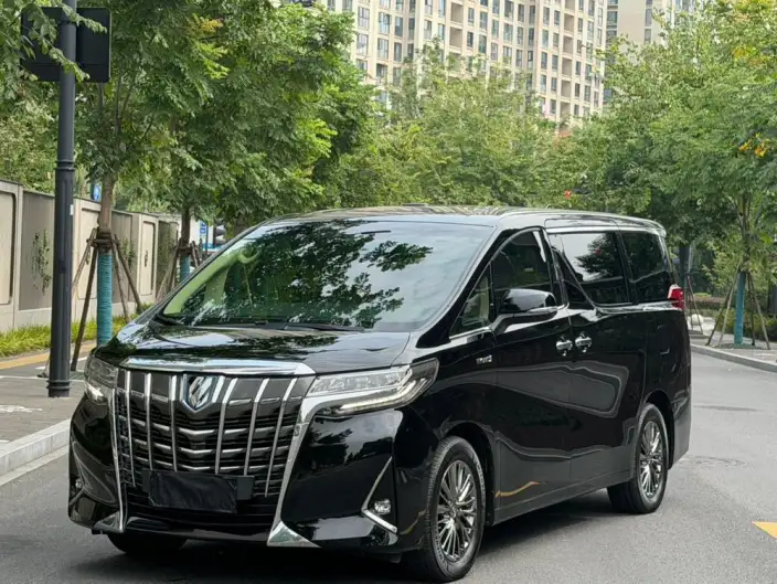 Elfa 2020 Model Hybrid 2.5L Deluxe Edition – фото 1