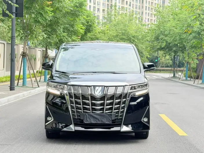 Elfa 2020 Model Hybrid 2.5L Deluxe Edition – фото 2
