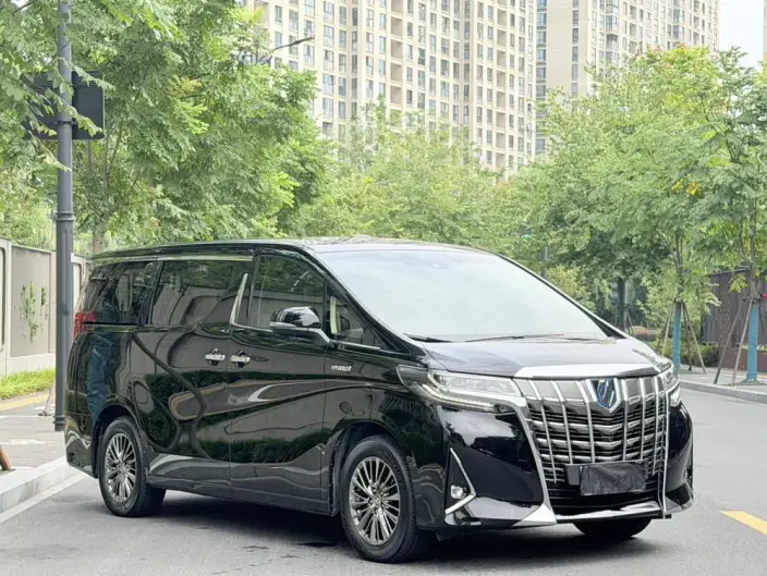 Elfa 2020 Model Hybrid 2.5L Deluxe Edition – фото 3