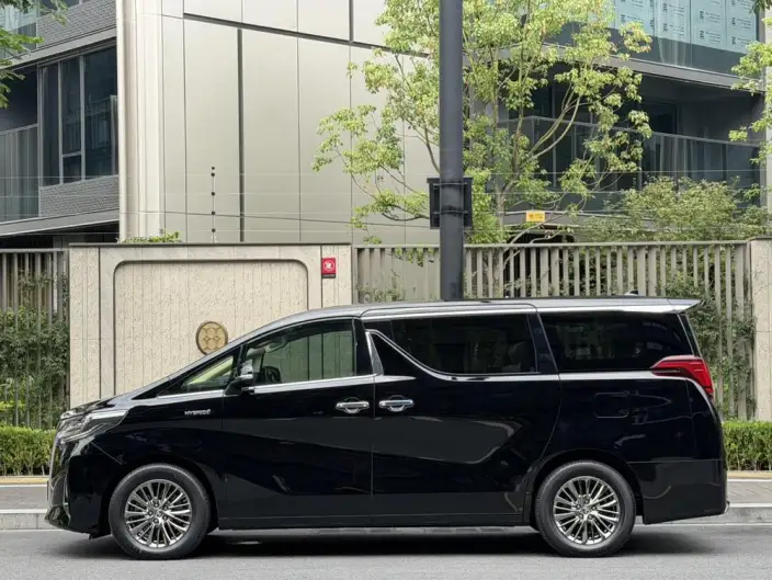Elfa 2020 Model Hybrid 2.5L Deluxe Edition – фото 4