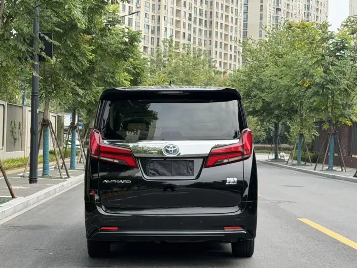 Elfa 2020 Model Hybrid 2.5L Deluxe Edition – фото 6