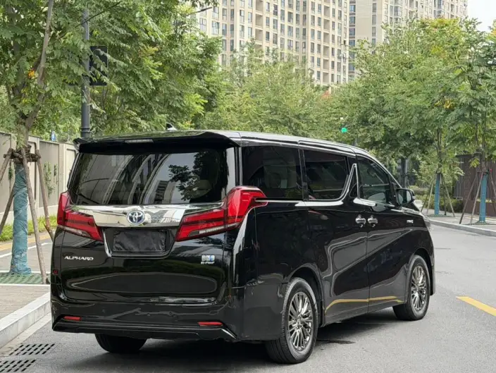 Elfa 2020 Model Hybrid 2.5L Deluxe Edition – фото 7