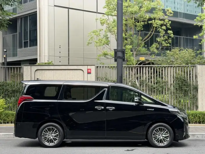 Elfa 2020 Model Hybrid 2.5L Deluxe Edition – фото 8