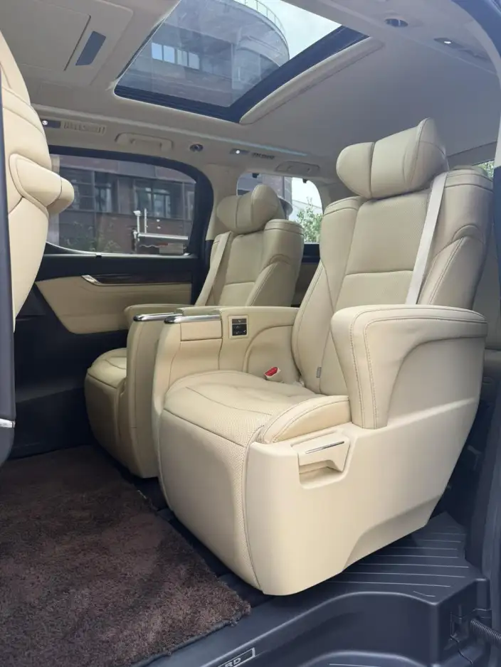 Elfa 2020 Model Hybrid 2.5L Deluxe Edition – фото 9