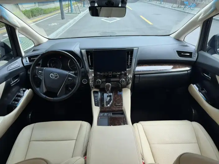 Elfa 2020 Model Hybrid 2.5L Deluxe Edition – фото 10