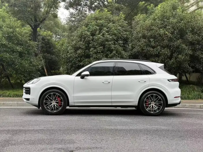 Cayenne 2026 Model Cayenne 3.0T Dream Edition – фото 4