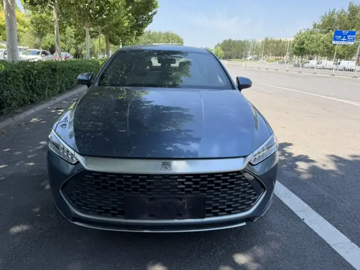 BYD Qin PLUS DM 2024 Model Honor Edition DM-i 55KM Leading Model – фото 2