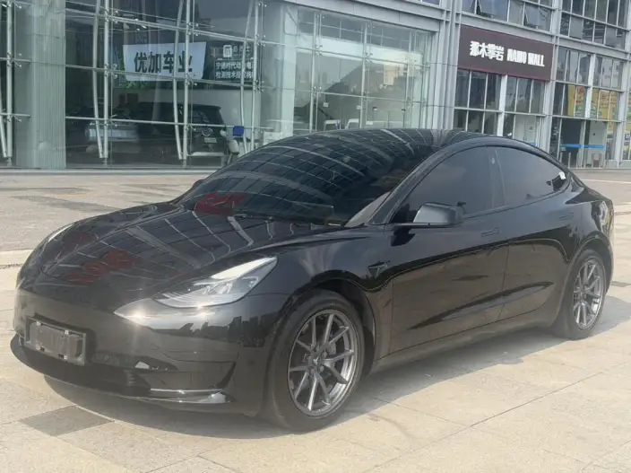 Model 3 2022 Model Rear-wheel drive version – фото 1