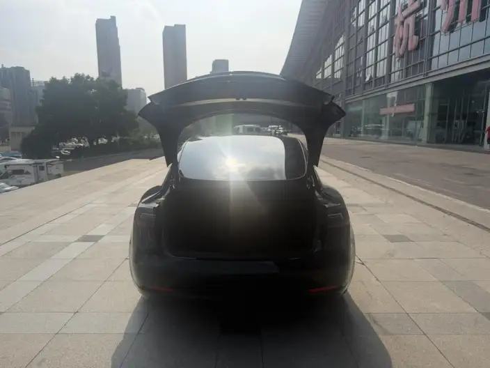 Model 3 2022 Model Rear-wheel drive version – фото 9