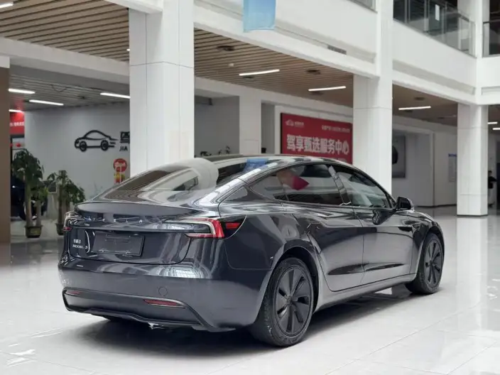 Model 3 2025 Model Rear-wheel drive version – фото 6