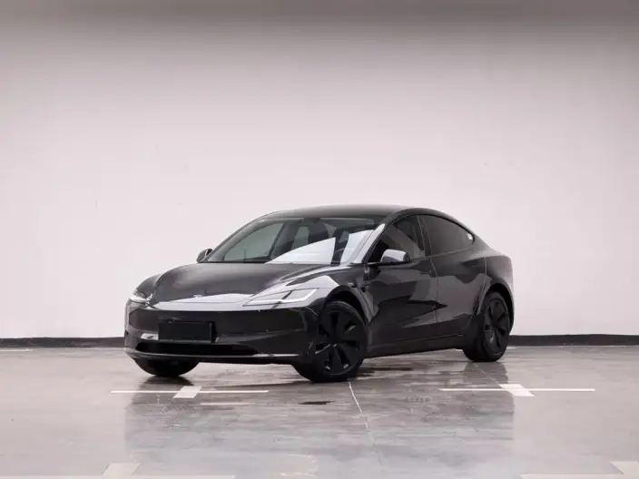 Model 3 2025 Model Rear-wheel drive version – фото 1