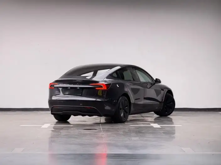 Model 3 2025 Model Rear-wheel drive version – фото 5