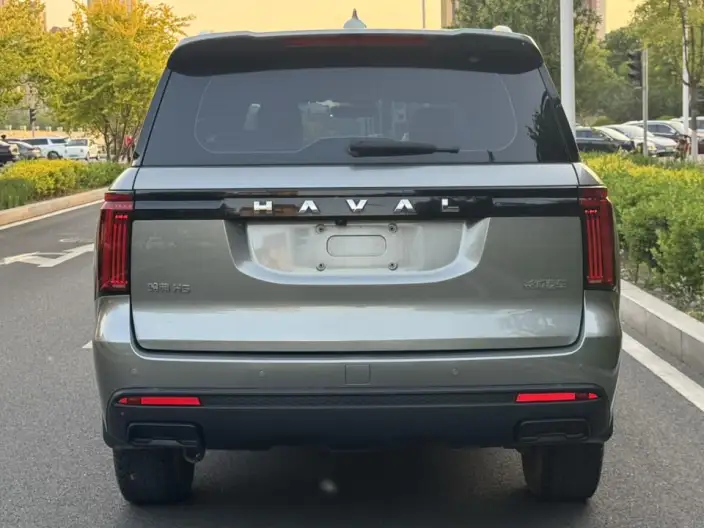 Haval H5 2023 Model 2.0T Diesel Ling Innovation Automatic 4WD – фото 5