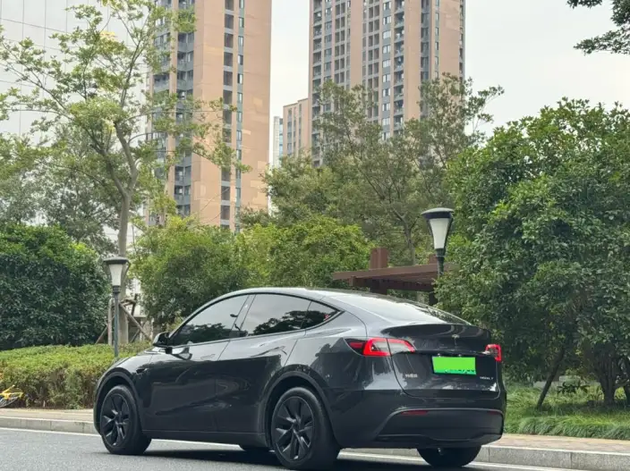 Model Y 2024 Model Rear-wheel drive version – фото 4