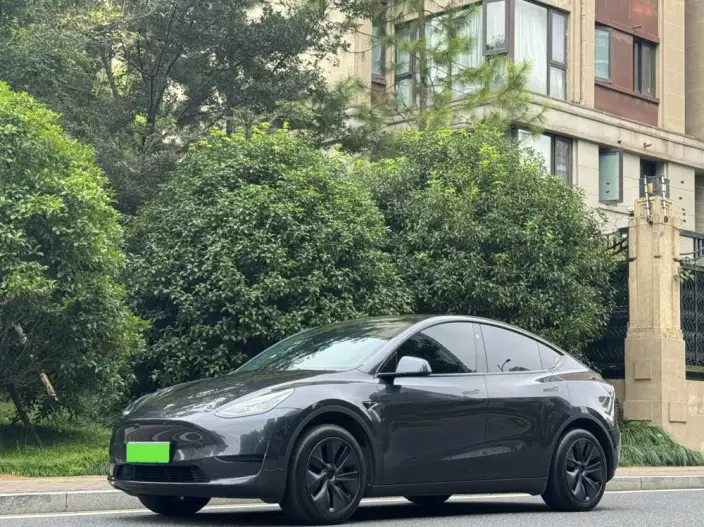 Model Y 2024 Model Rear-wheel drive version – фото 6