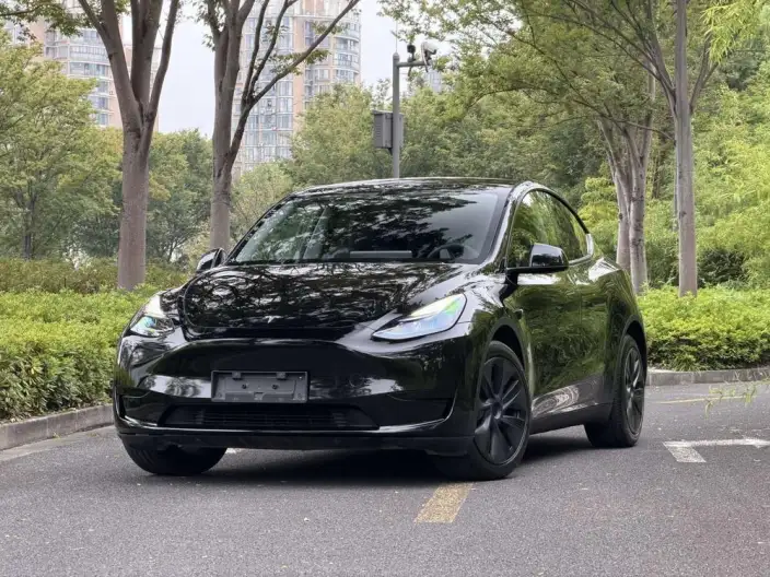 Model Y 2024 Model Rear-wheel drive version – фото 1