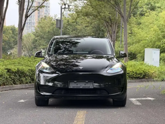 Model Y 2024 Model Rear-wheel drive version – фото 2