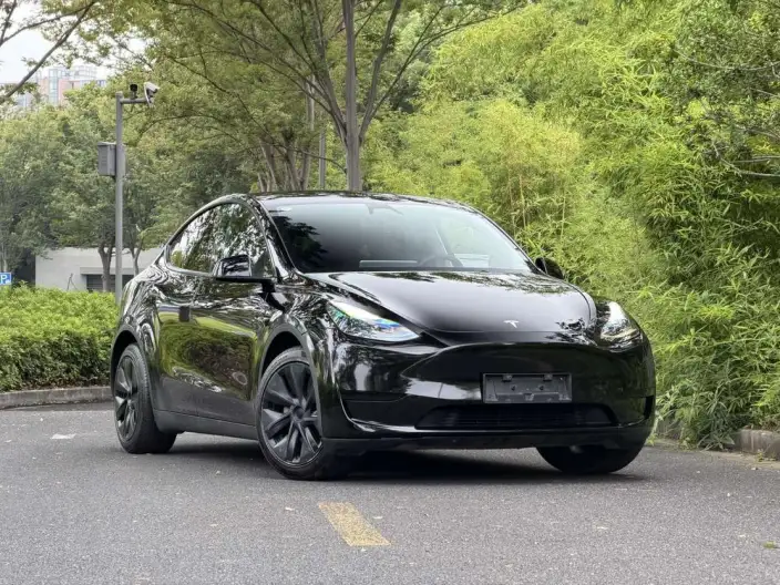 Model Y 2024 Model Rear-wheel drive version – фото 3