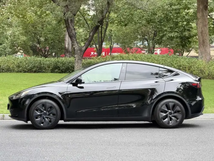 Model Y 2024 Model Rear-wheel drive version – фото 4