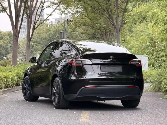 Model Y 2024 Model Rear-wheel drive version – фото 5