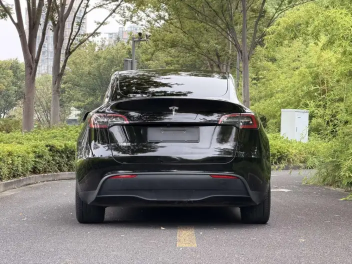 Model Y 2024 Model Rear-wheel drive version – фото 6