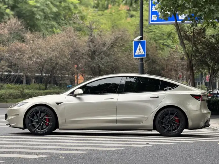 Model 3 2025 Model High performance All-wheel drive version – фото 3
