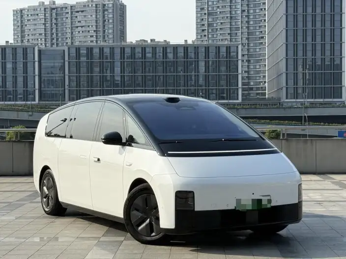 Li Auto MEGA 2025 Model Home Family Special Edition – фото 3