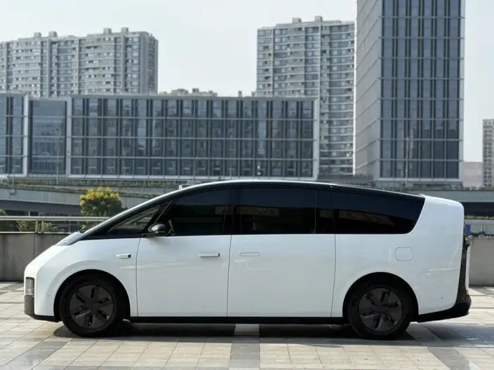 Li Auto MEGA 2025 Model Home Family Special Edition – фото 4