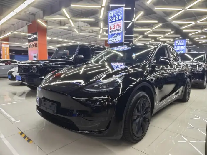 Model Y 2024 Model Rear-wheel drive version – фото 1